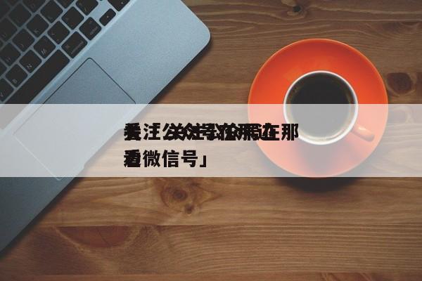 关注公众号在那边

看「 关注公众号在那边

看微信号」（关注公众号在哪里看） 网站建设