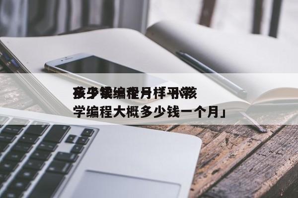 孩子学编程一样平常
多少钱一个月「 小孩学编程大概多少钱一个月」 小程序开发