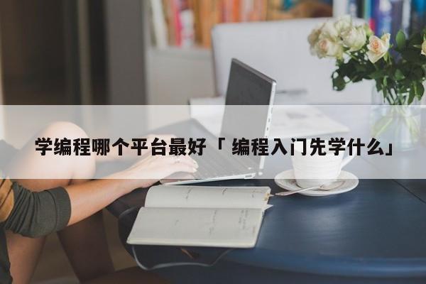 学编程哪个平台最好「 编程入门先学什么」 app开发