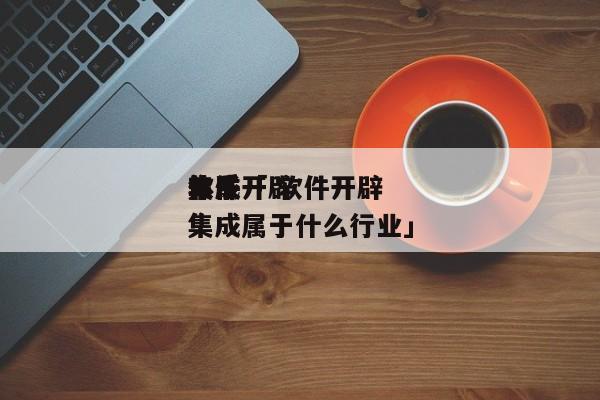 软件开辟
体系
集成「 软件开辟
体系
集成属于什么行业」 app开发