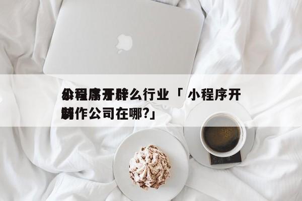 小程序开辟
公司属于什么行业「 小程序开辟
制作公司在哪?」 小程序开发